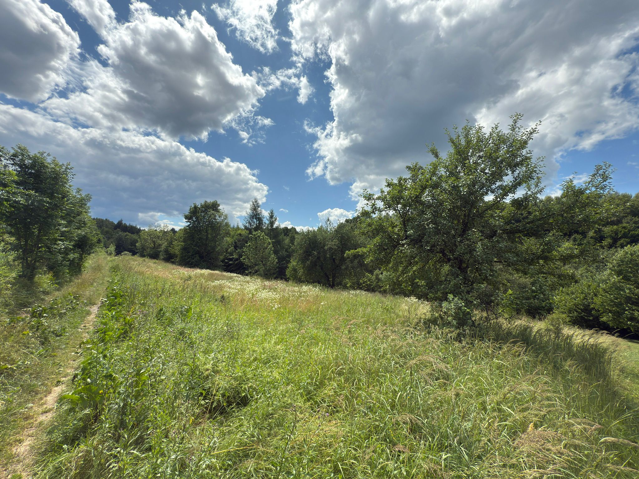 2 działka rolna, Zagórz, Sanok