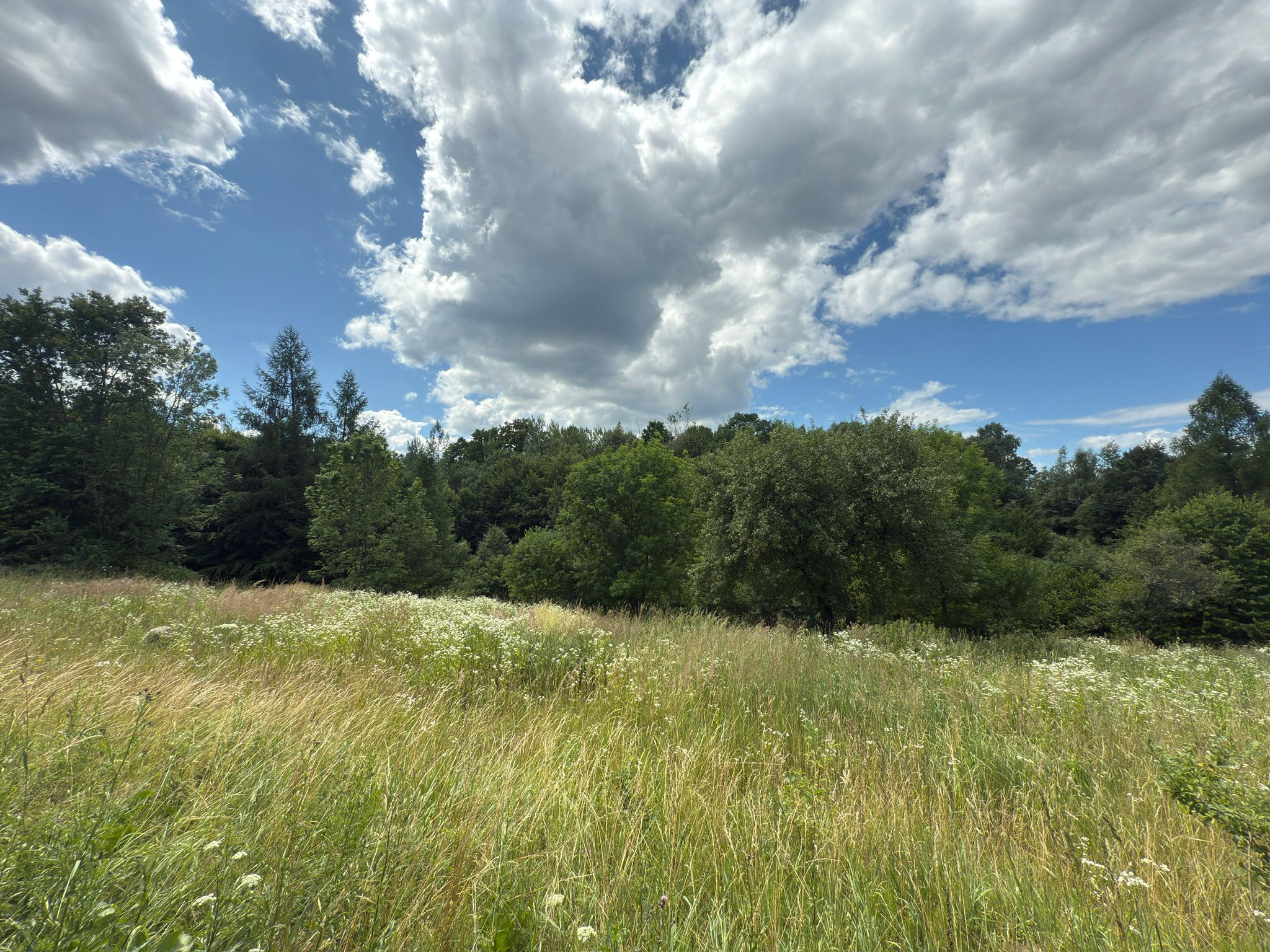 3 działka rolna, Zagórz, Sanok