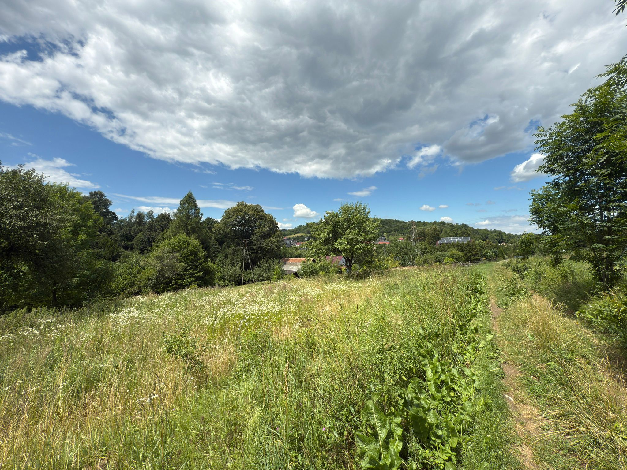 4 działka rolna, Zagórz, Sanok