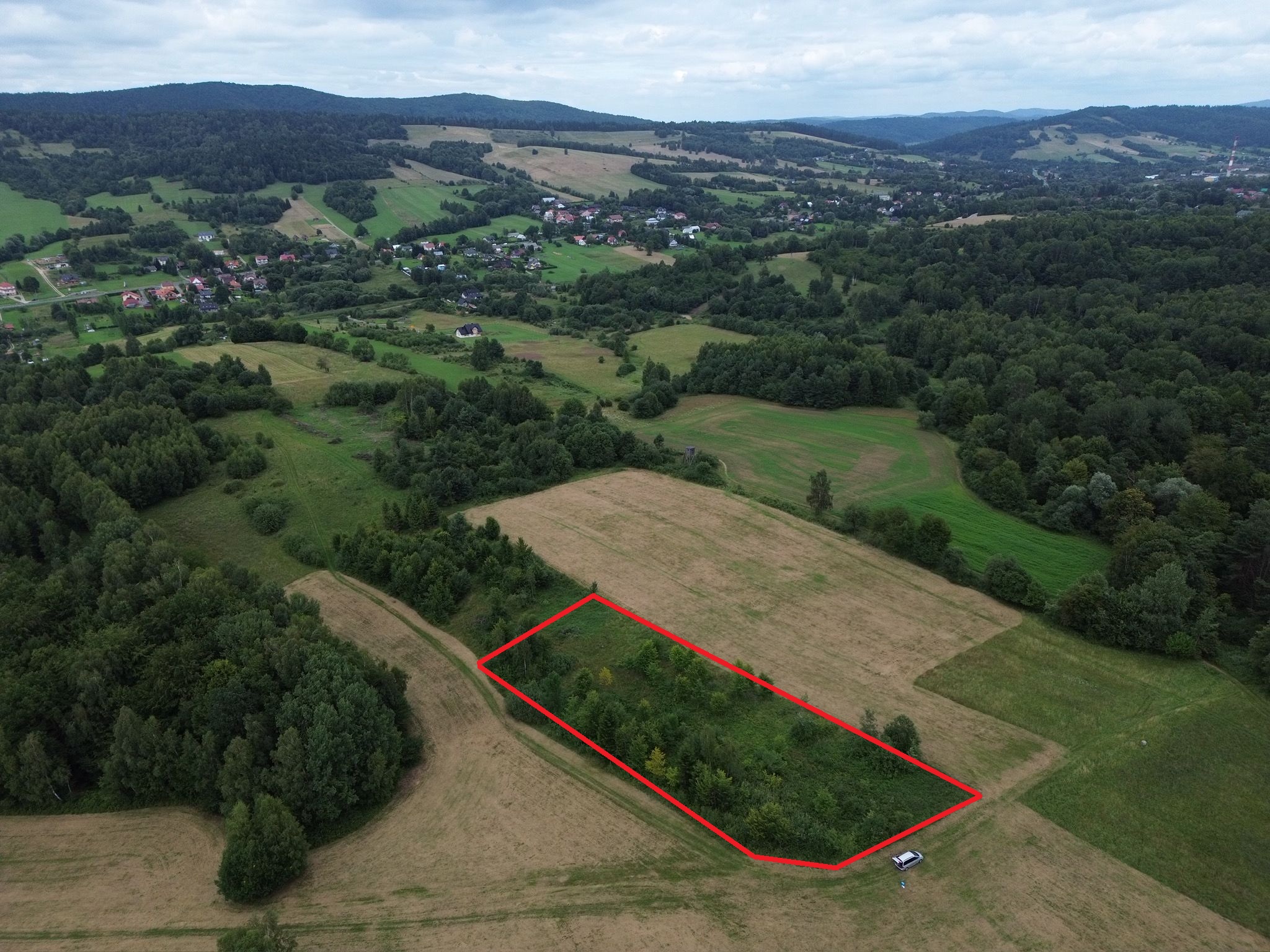 Zdjęcie WhatsApp 2025-07-30 o 10.39.40_0fef1c74