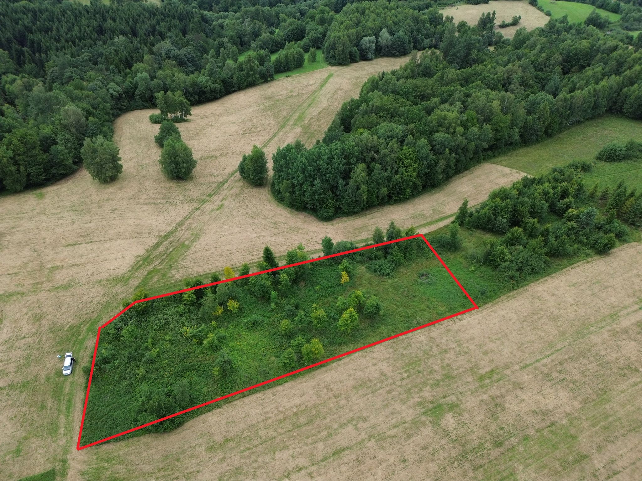 Zdjęcie WhatsApp 2025-07-30 o 10.39.40_c8eb01f6